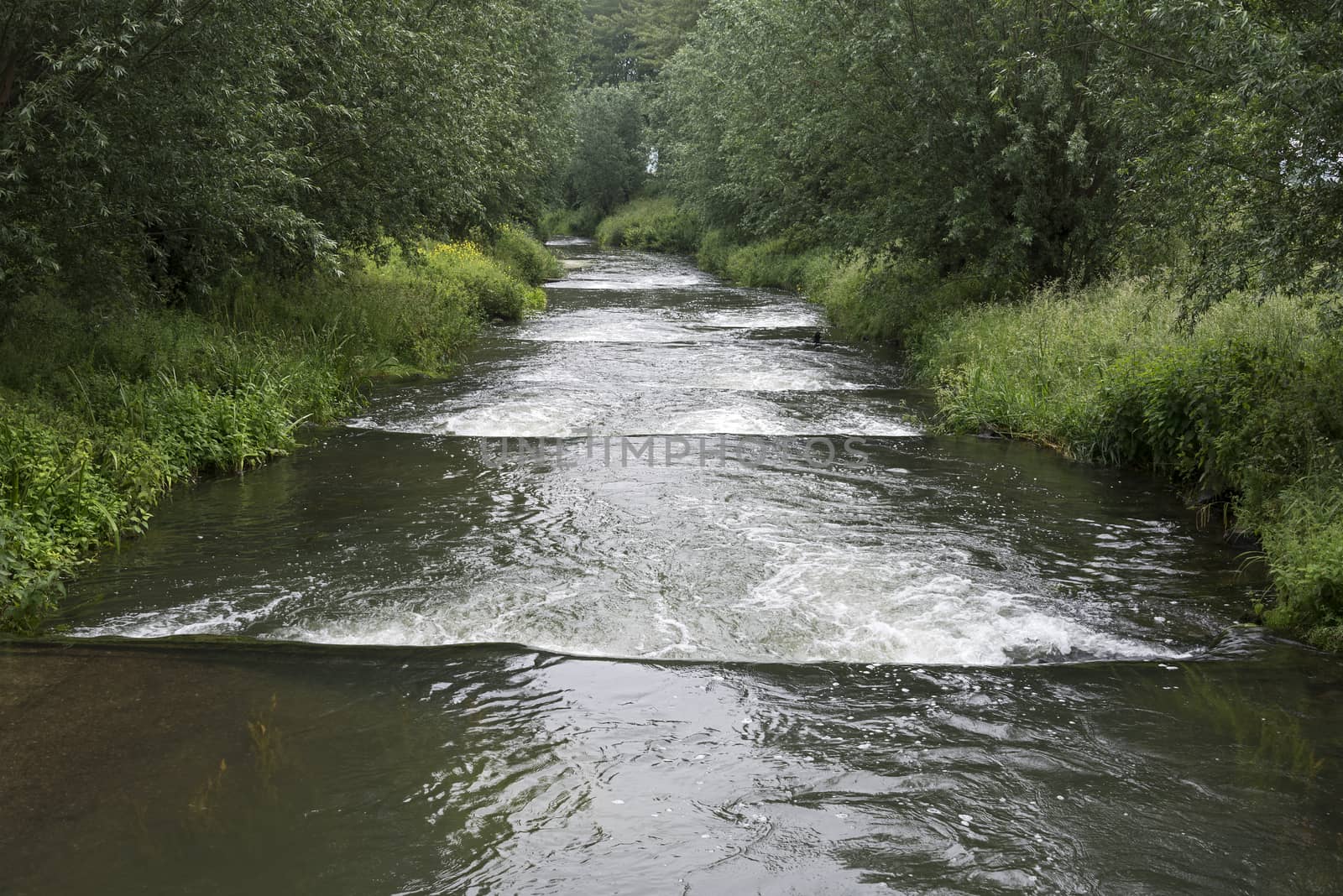 waterfall in holland from the river maas with green nature forest