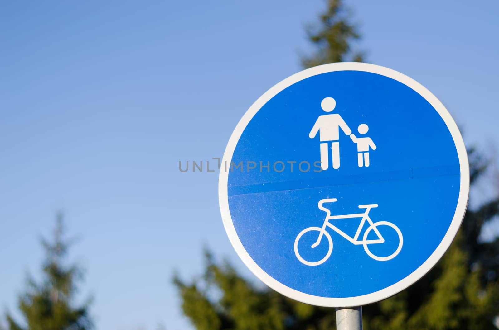 bicycle and pedestrian lane road sign in blue by sauletas