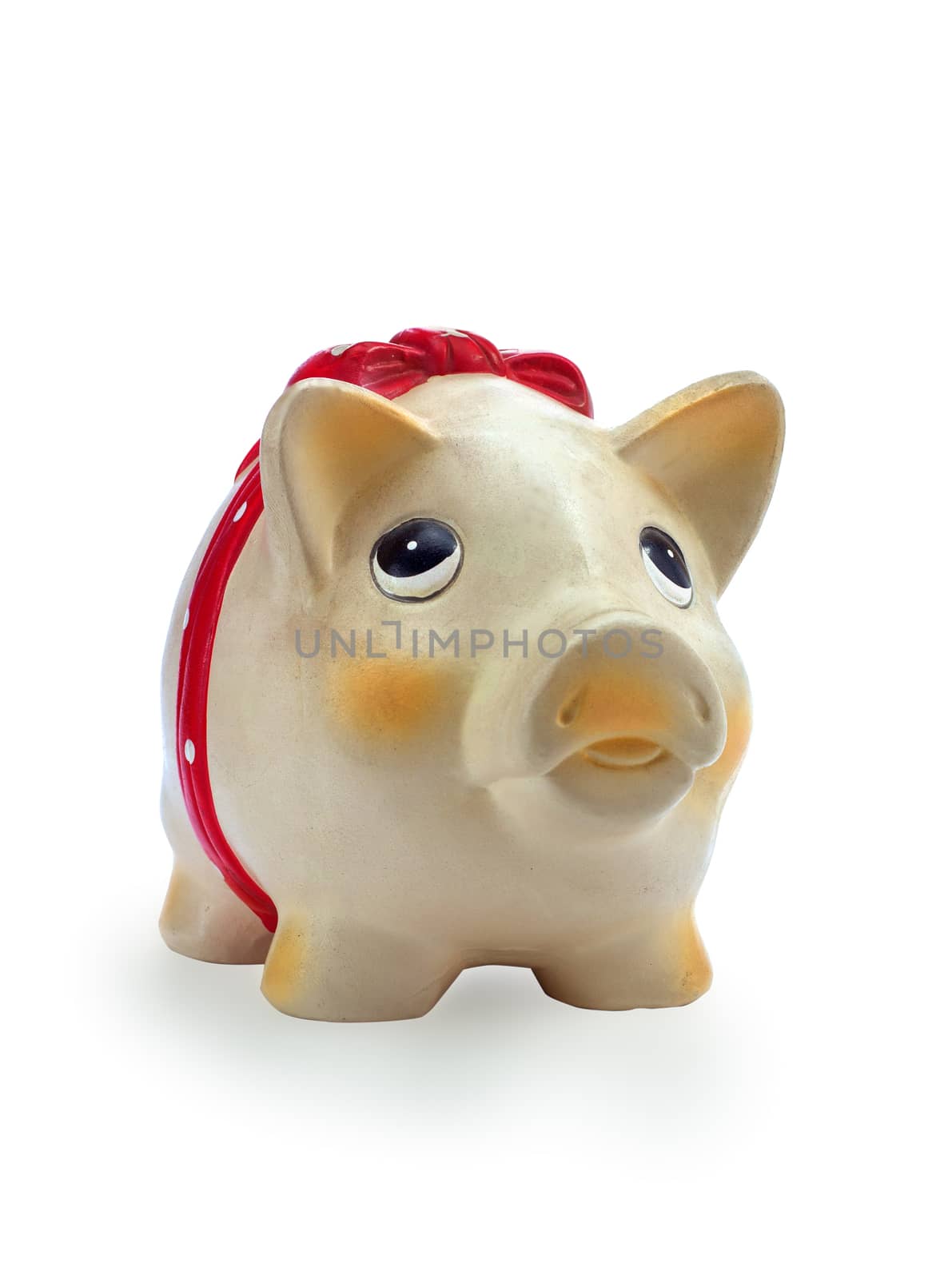 Piggy bank isolated on white background