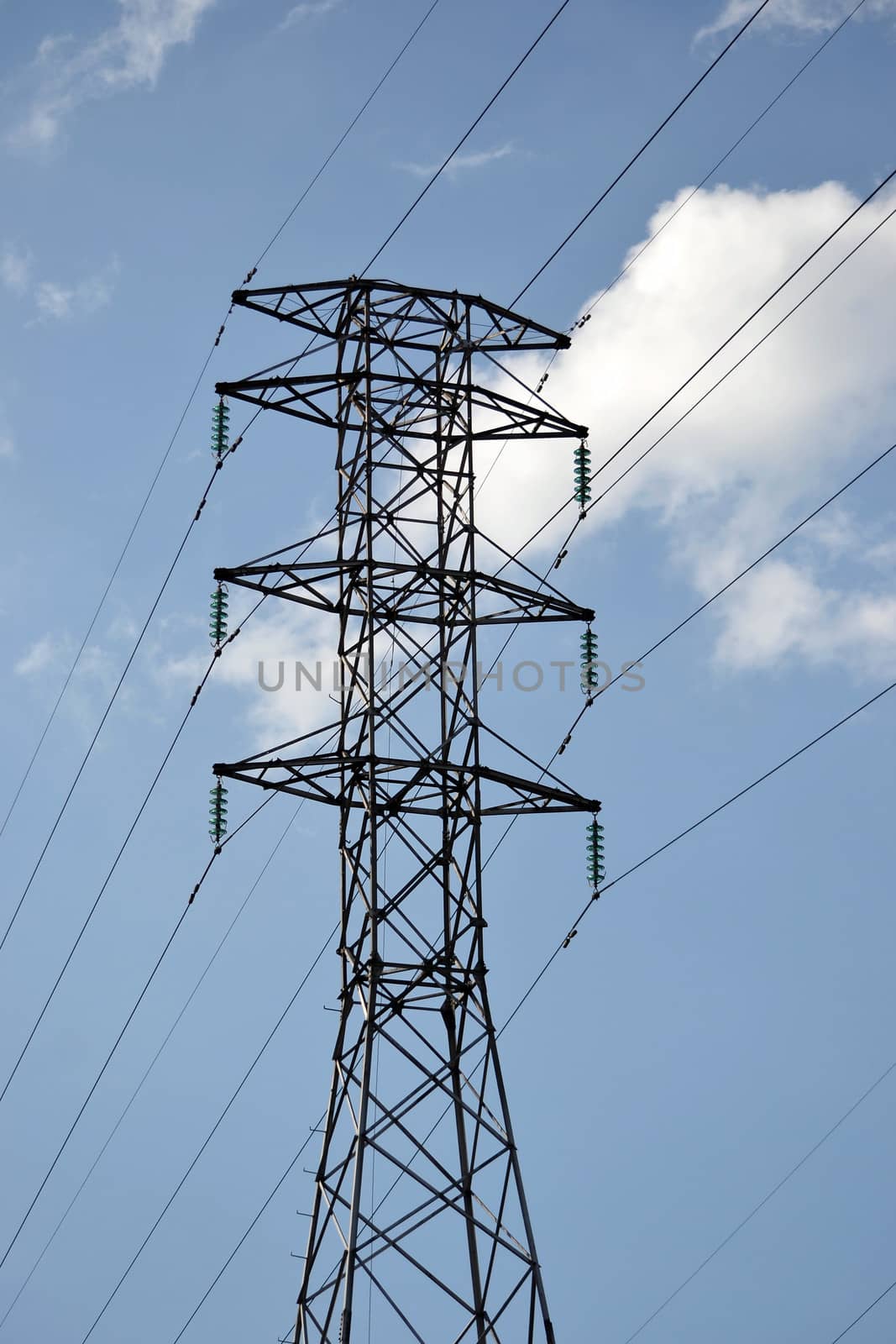 high voltage electricity line structure that used in electricity plantation