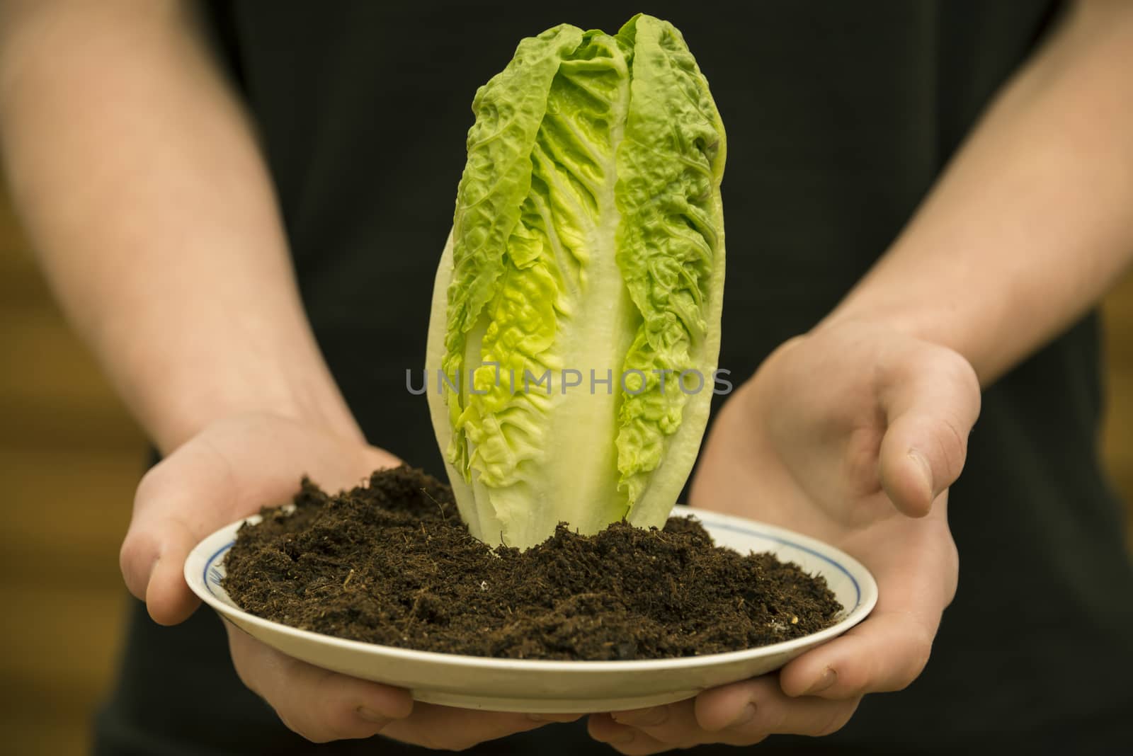 A pair of hands is holding a plate with soil and salad