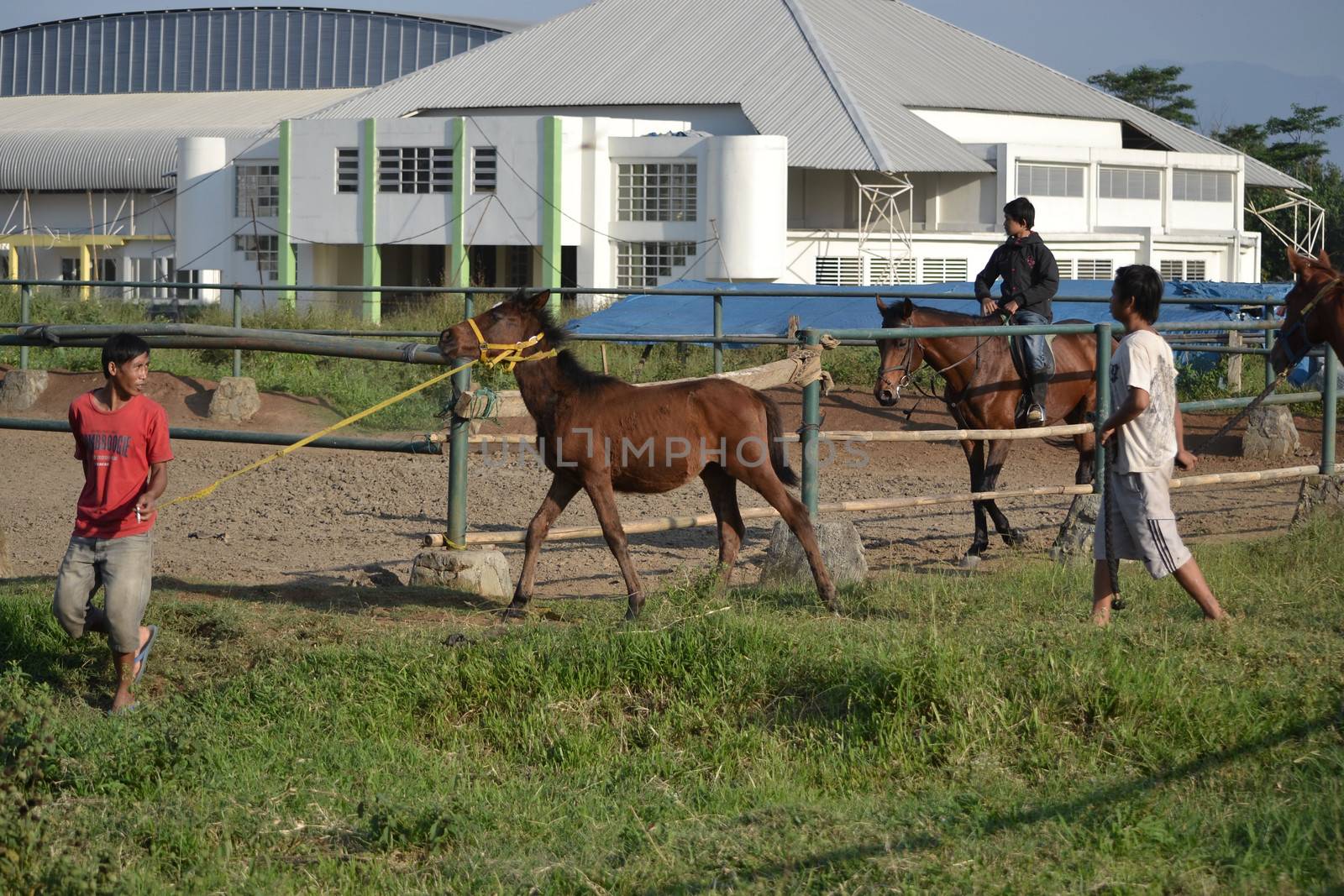 bandung, indonesia-may 31, 2014-man get walking together with his horse in arcamanik horse race arena