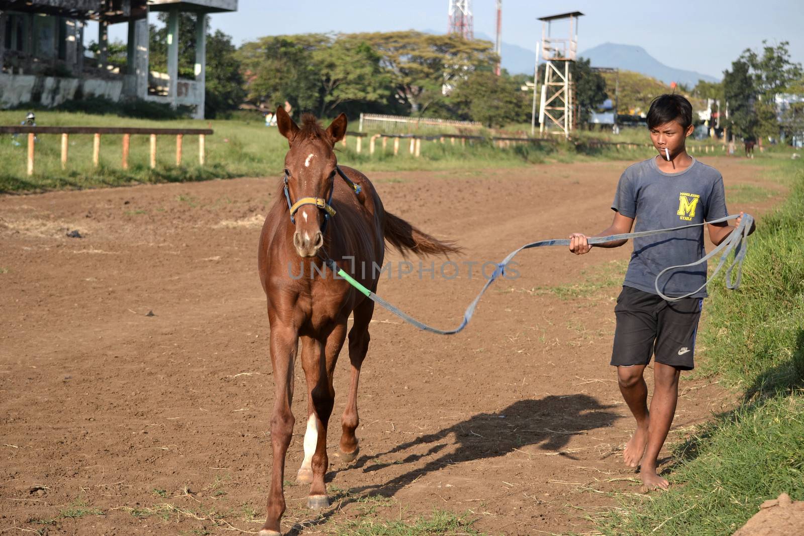 bandung, indonesia-may 31, 2014-man get walking together with his horse in arcamanik horse race arena