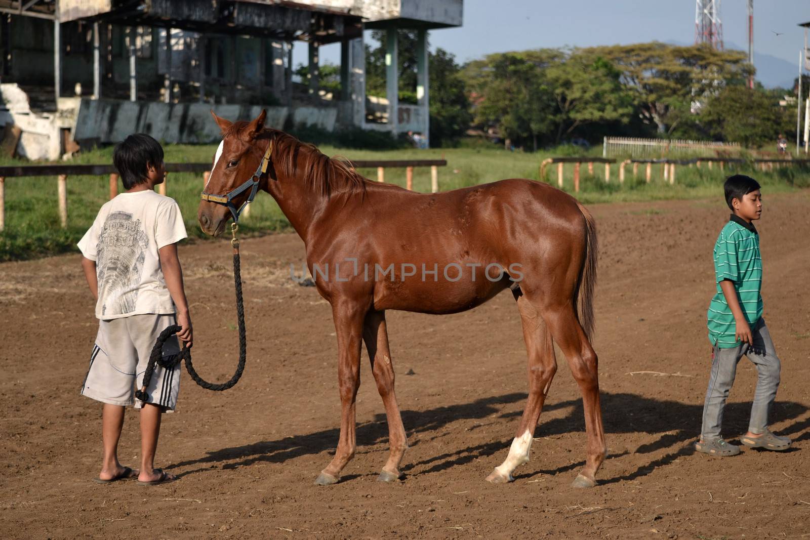 bandung, indonesia-may 31, 2014-man get walking together with his horse in arcamanik horse race arena