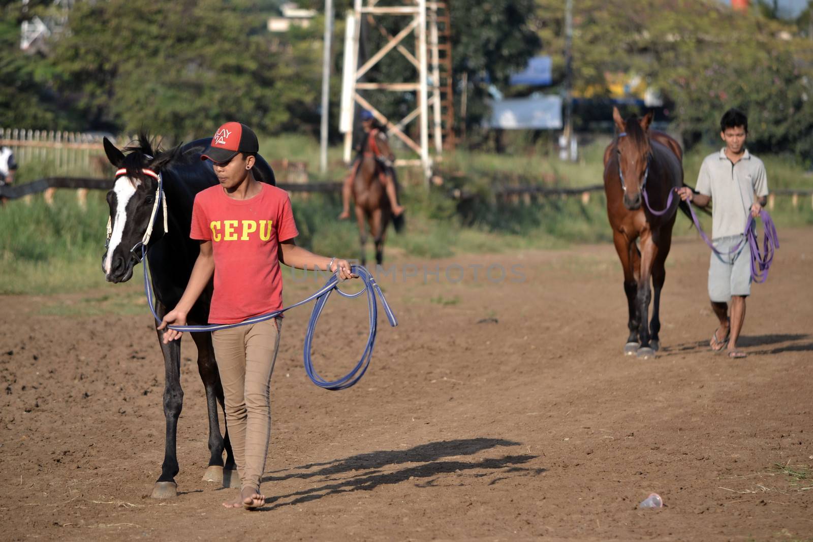 bandung, indonesia-may 31, 2014-man get walking together with his horse in arcamanik horse race arena