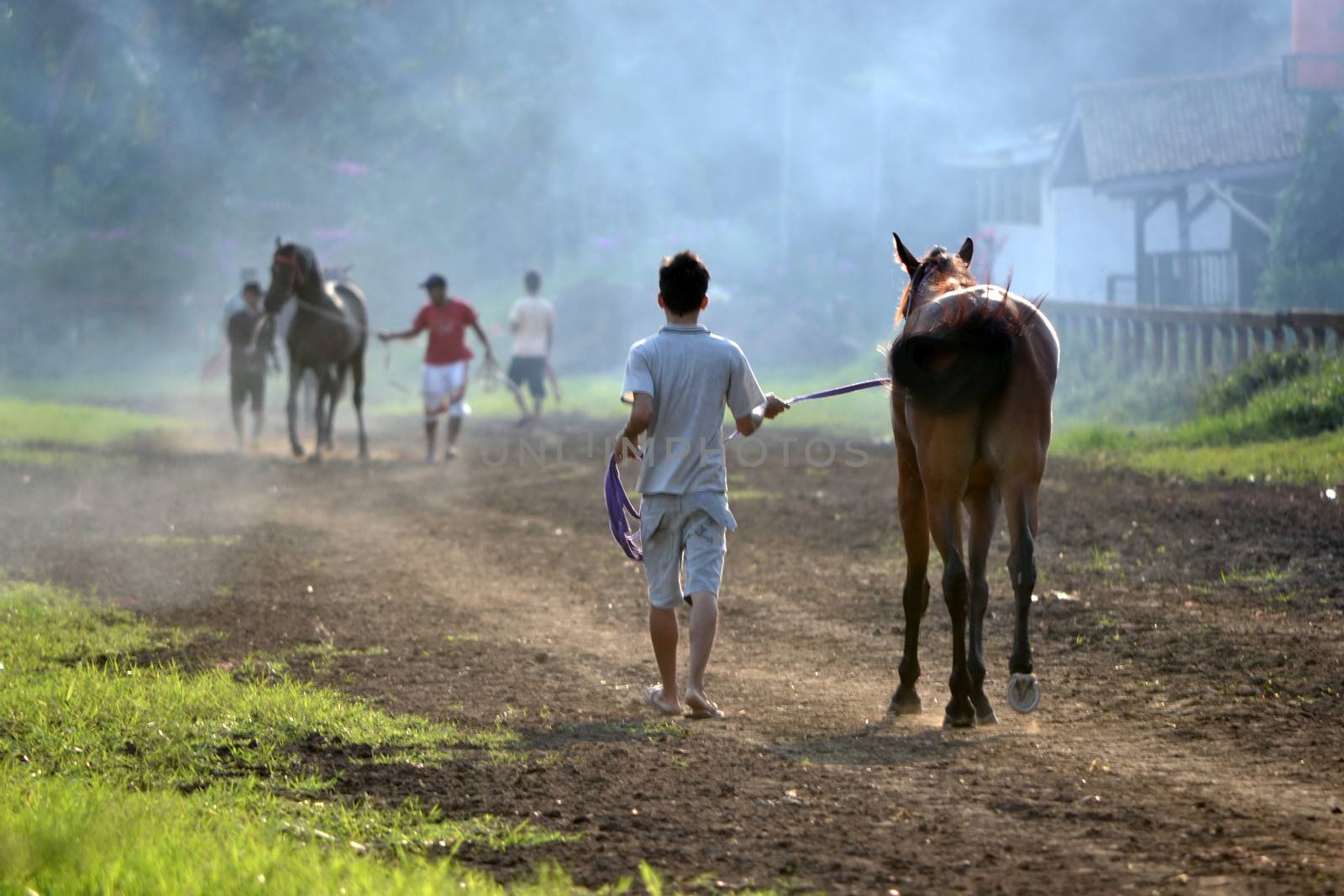 bandung, indonesia-may 31, 2014-man get walking together with his horse in arcamanik horse race arena