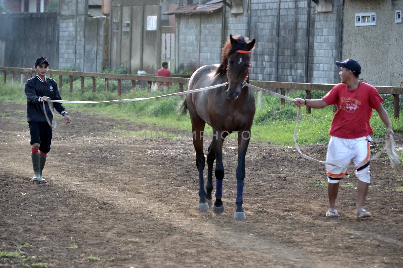 bandung, indonesia-may 31, 2014-man get walking together with his horse in arcamanik horse race arena