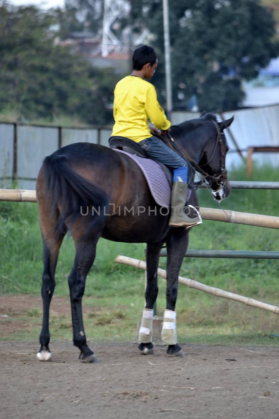 bandung, indonesia-may 31, 2014-young boy learn to riding a horse in arcamanik horse race arena