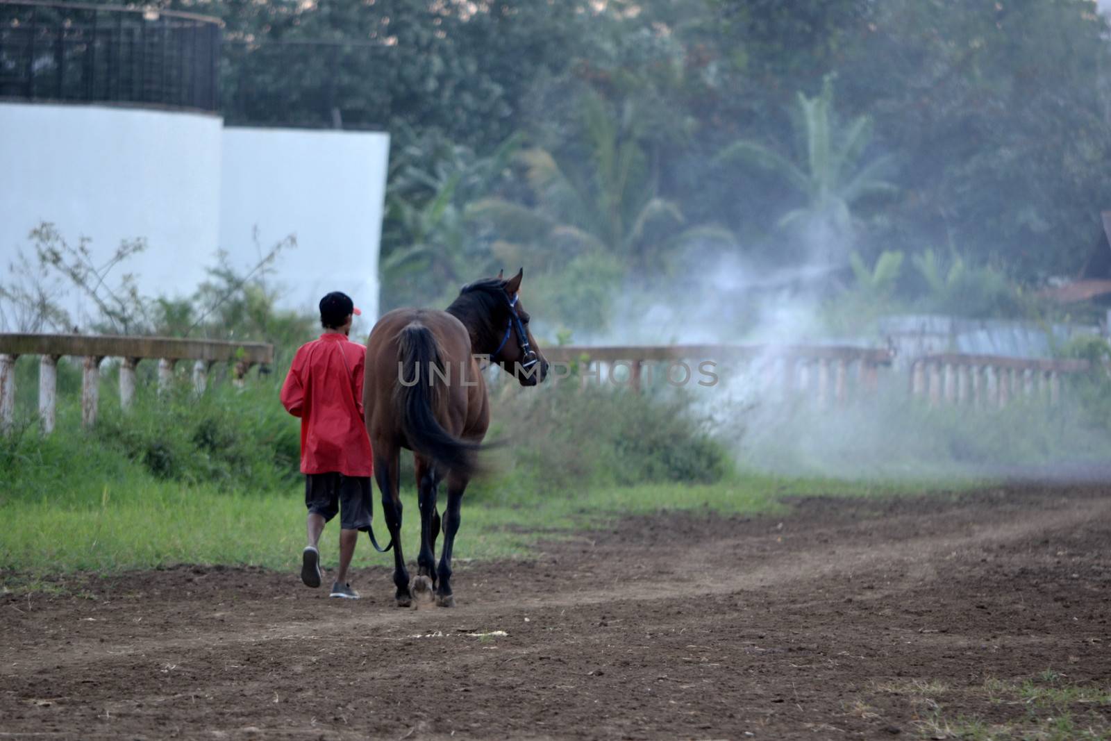 bandung, indonesia-may 31, 2014-man get walking together with his horse in arcamanik horse race arena