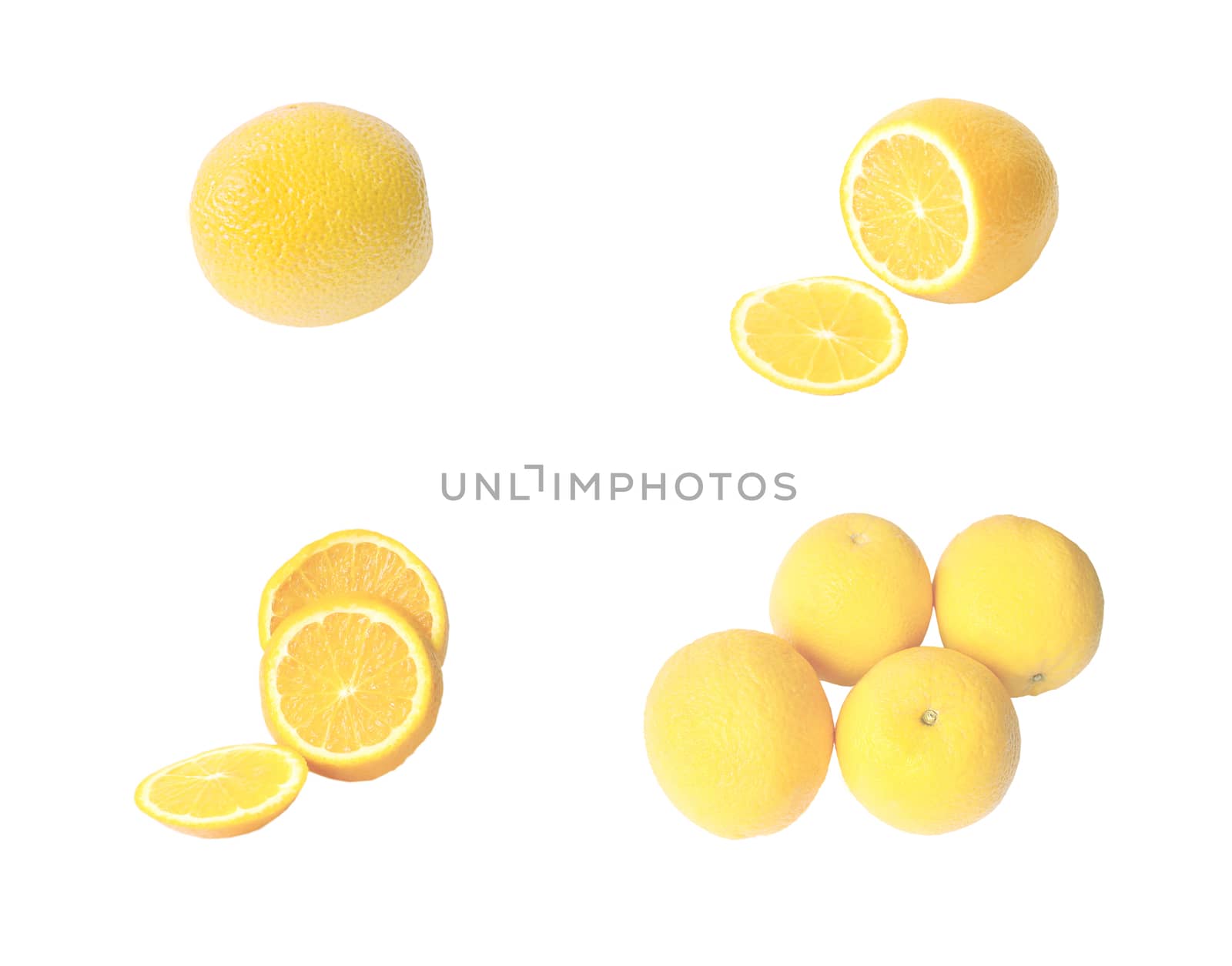 Collection of different oranges on a white background