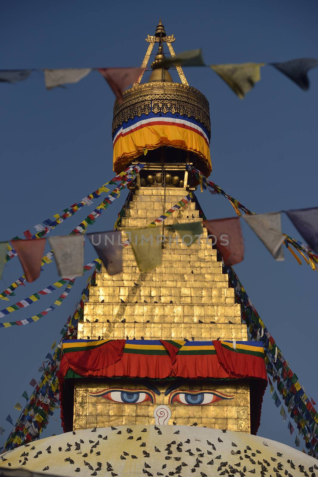 Close up of widsom eyes of Boudhanath Stupa with in Kathmandu, N by think4photop