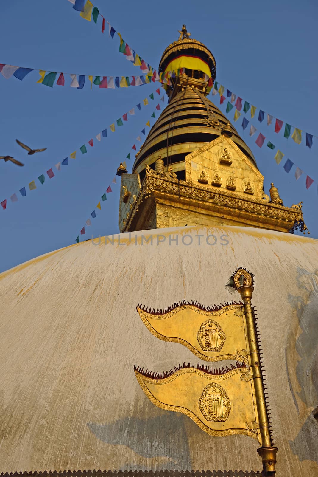 The golden flag is located at the Swayambhunath Temple in Nepal