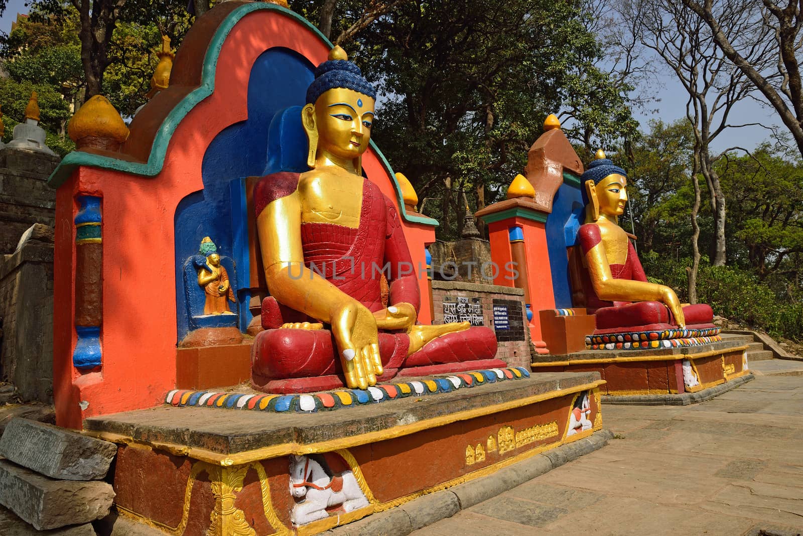 The statue of Buddha is located at the Swayambhunath Temple in Nepal