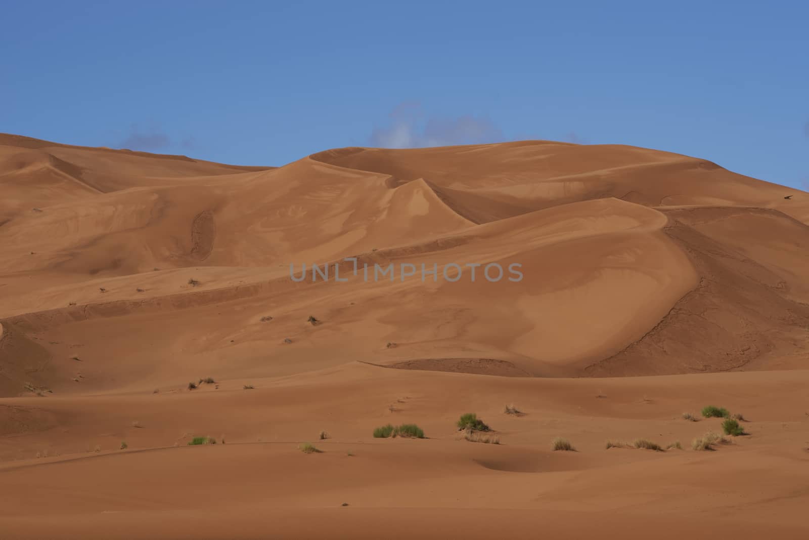 Sand dunes in the Sahara Desert of Morocco in North Africa
