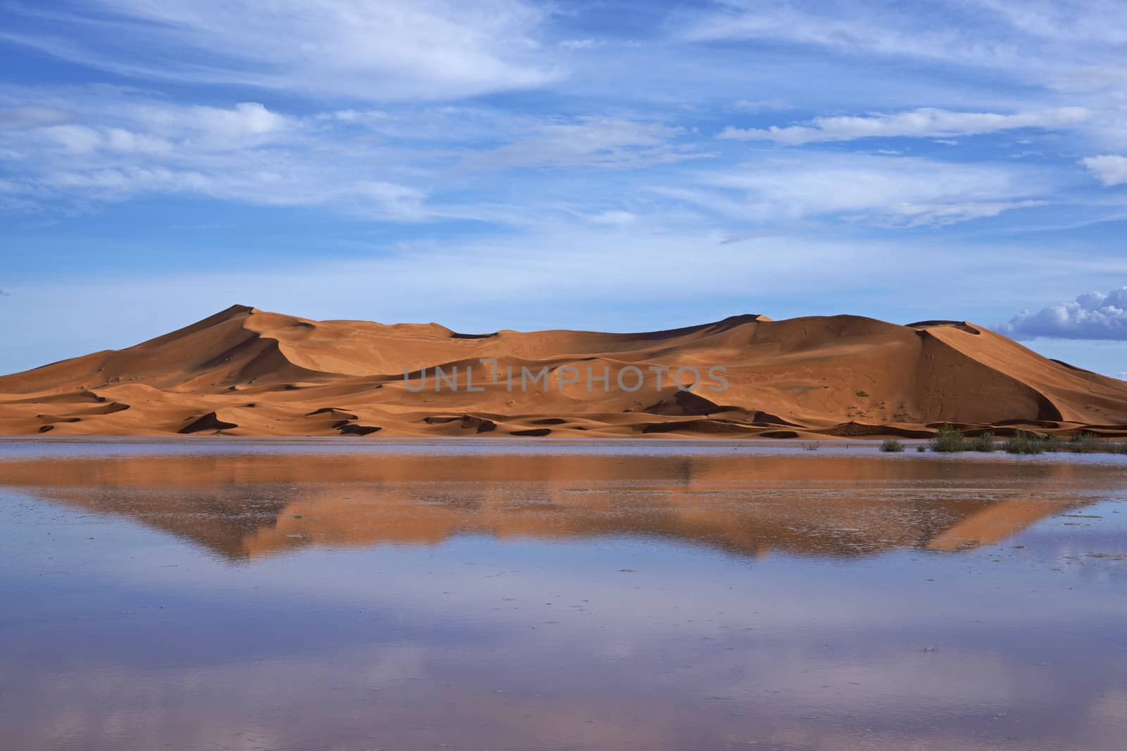 Sand dunes reflected in rainwater lakes in the Sahara Desert of Morocco in North Africa