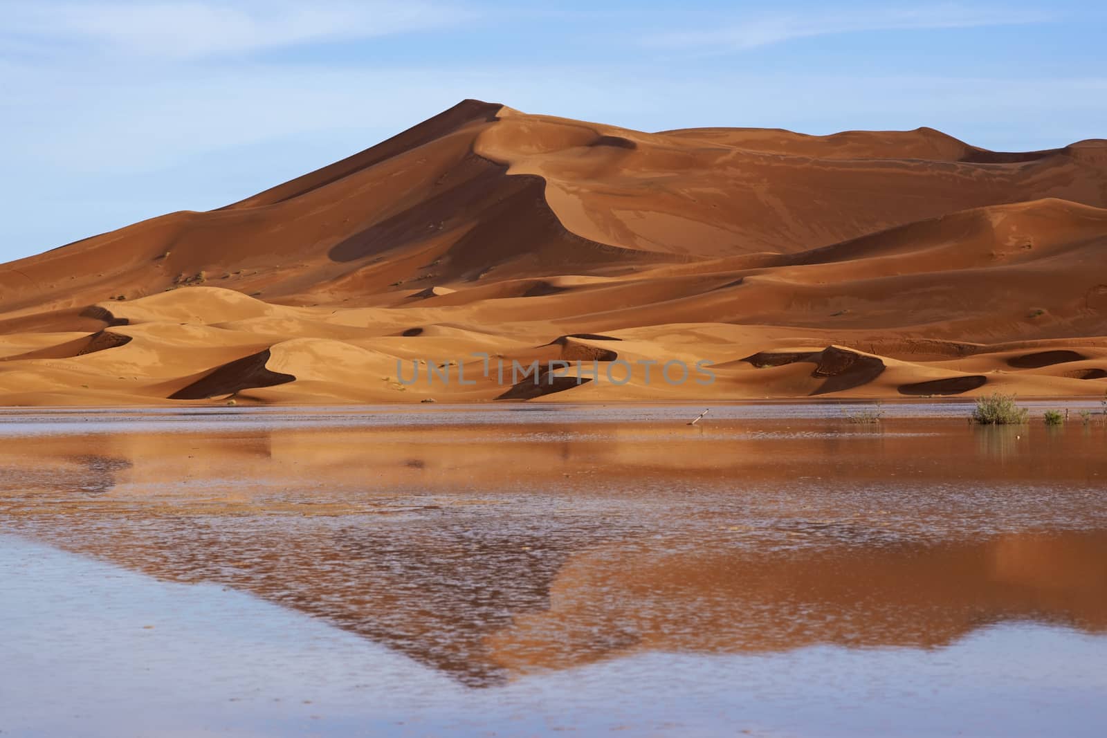 Sand dunes reflected in rainwater lakes in the Sahara Desert of Morocco in North Africa