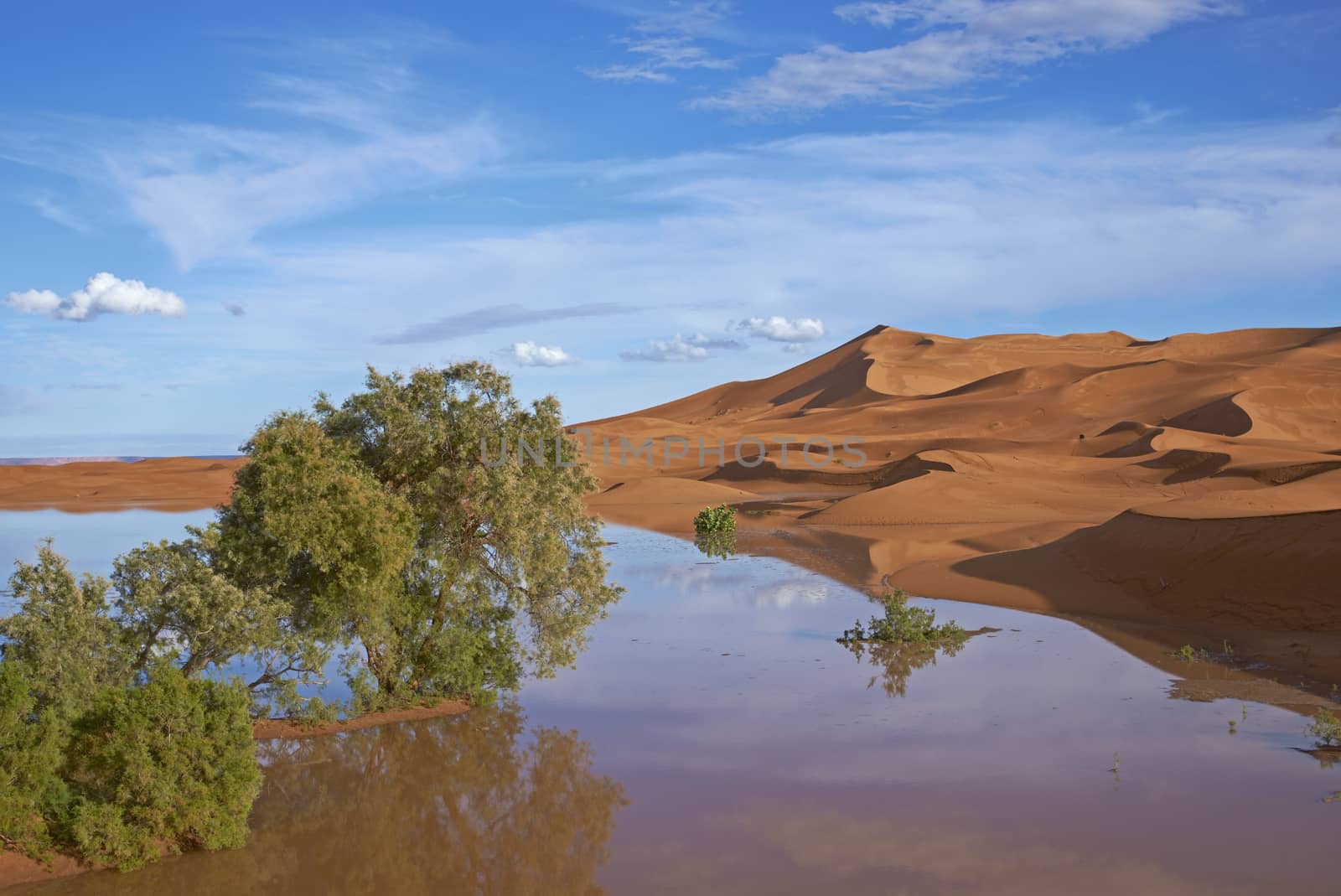 Sand dunes reflected in rainwater lakes in the Sahara Desert of Morocco in North Africa