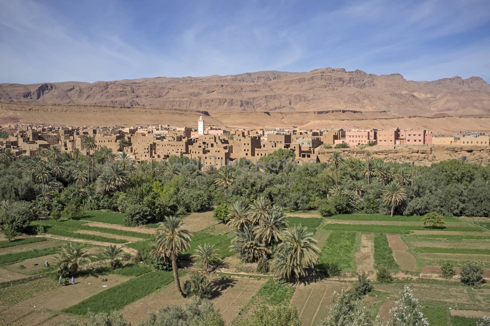 Traditional Berber village and cultivated fields along a river valley in the foothills of the Atlas Mountains in Morocco
