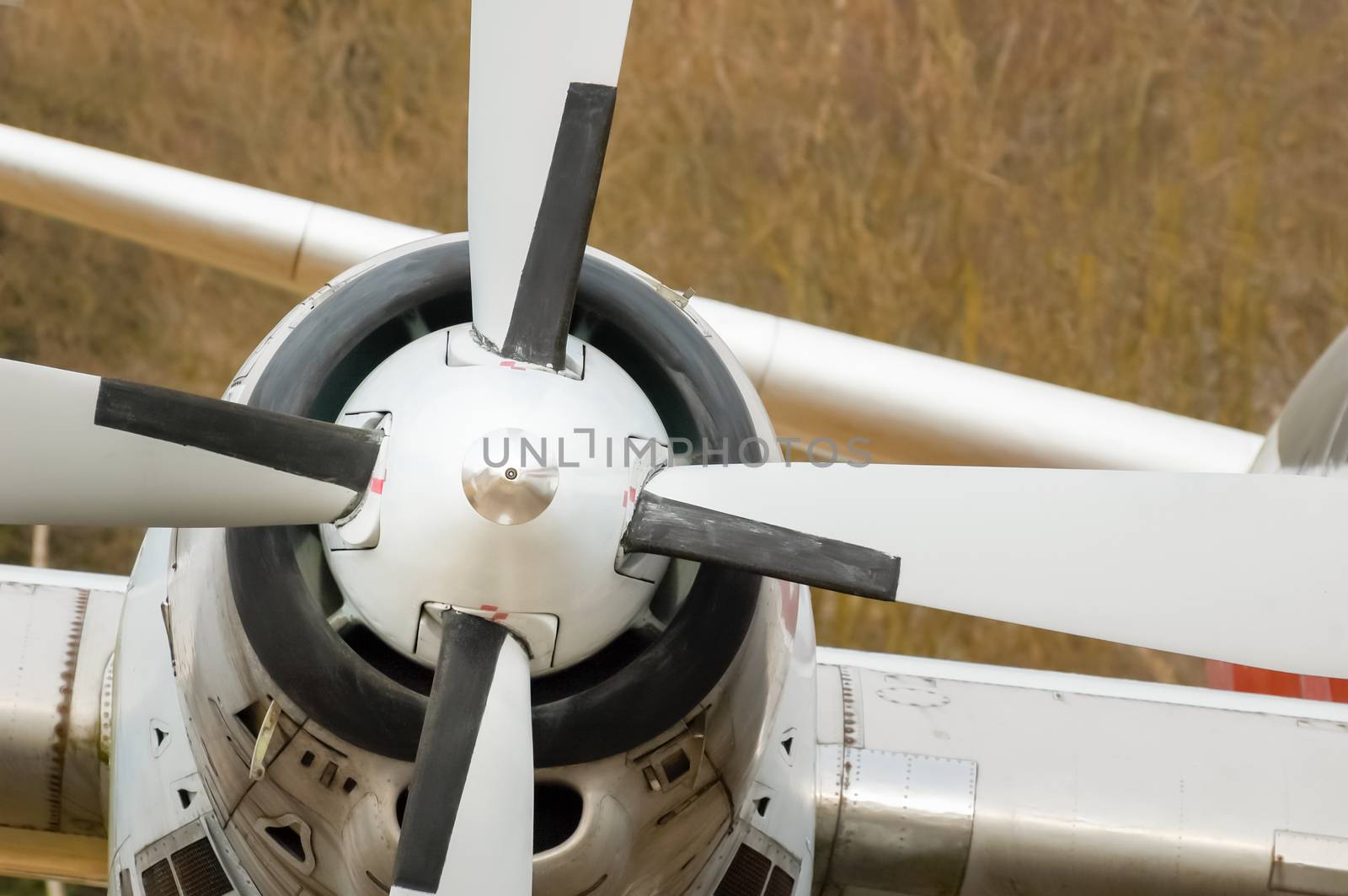 aircraft propeller by nelsonart