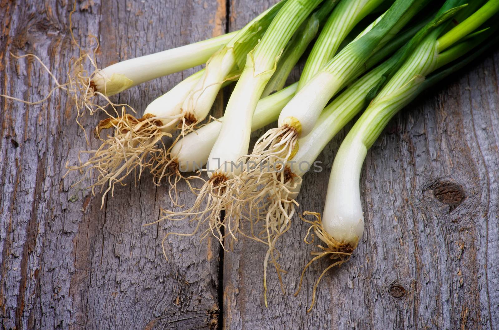 Bunch of Fresh Spring Onion Stems isolated on Rustic Wooden background