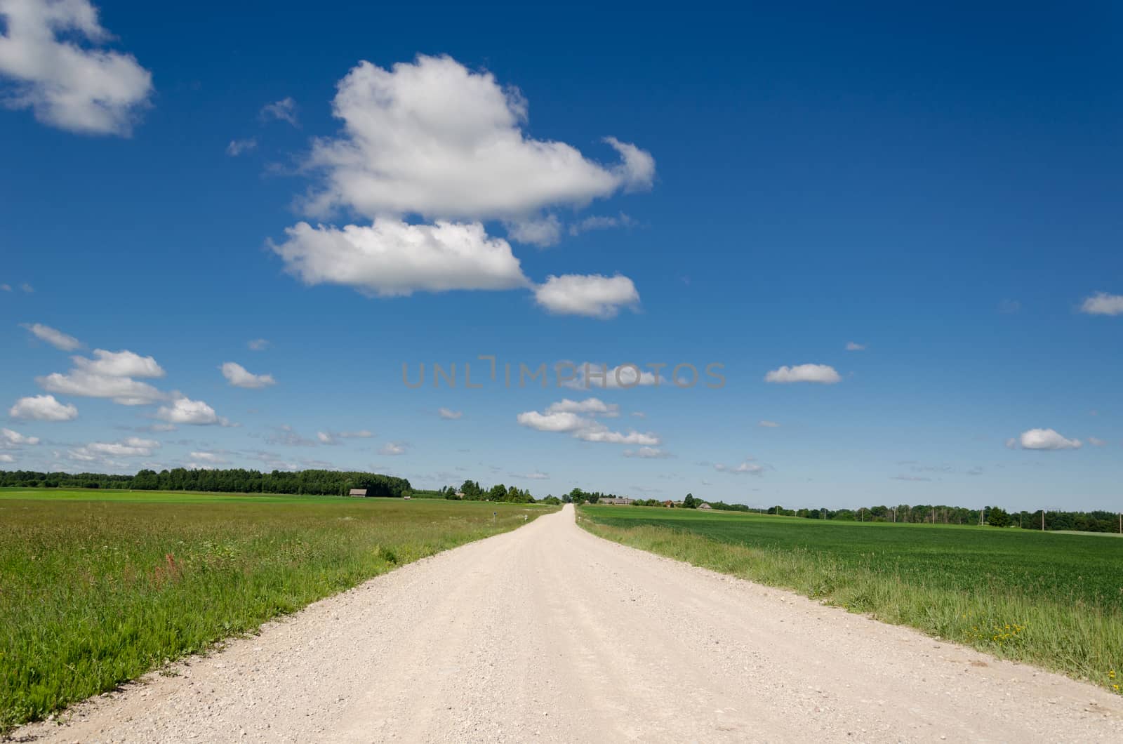 gravel road along grass blue cloud horizon by sauletas