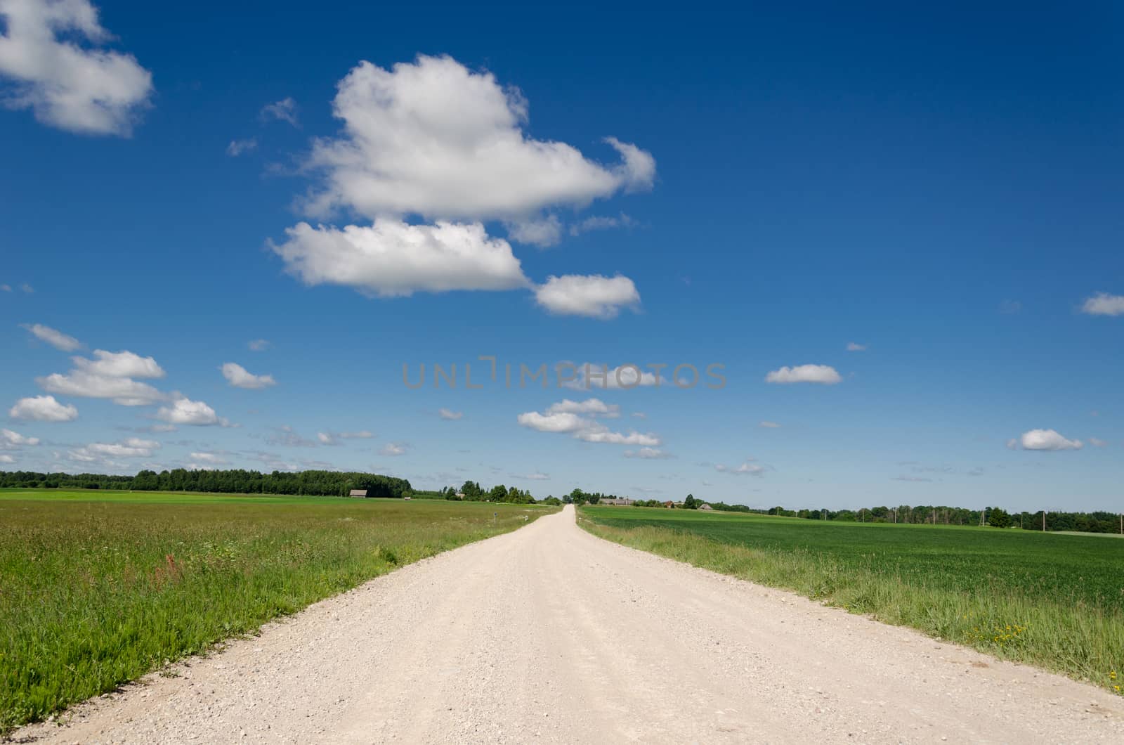 gravel road continues along the green village meadow and blue cloud in horizon