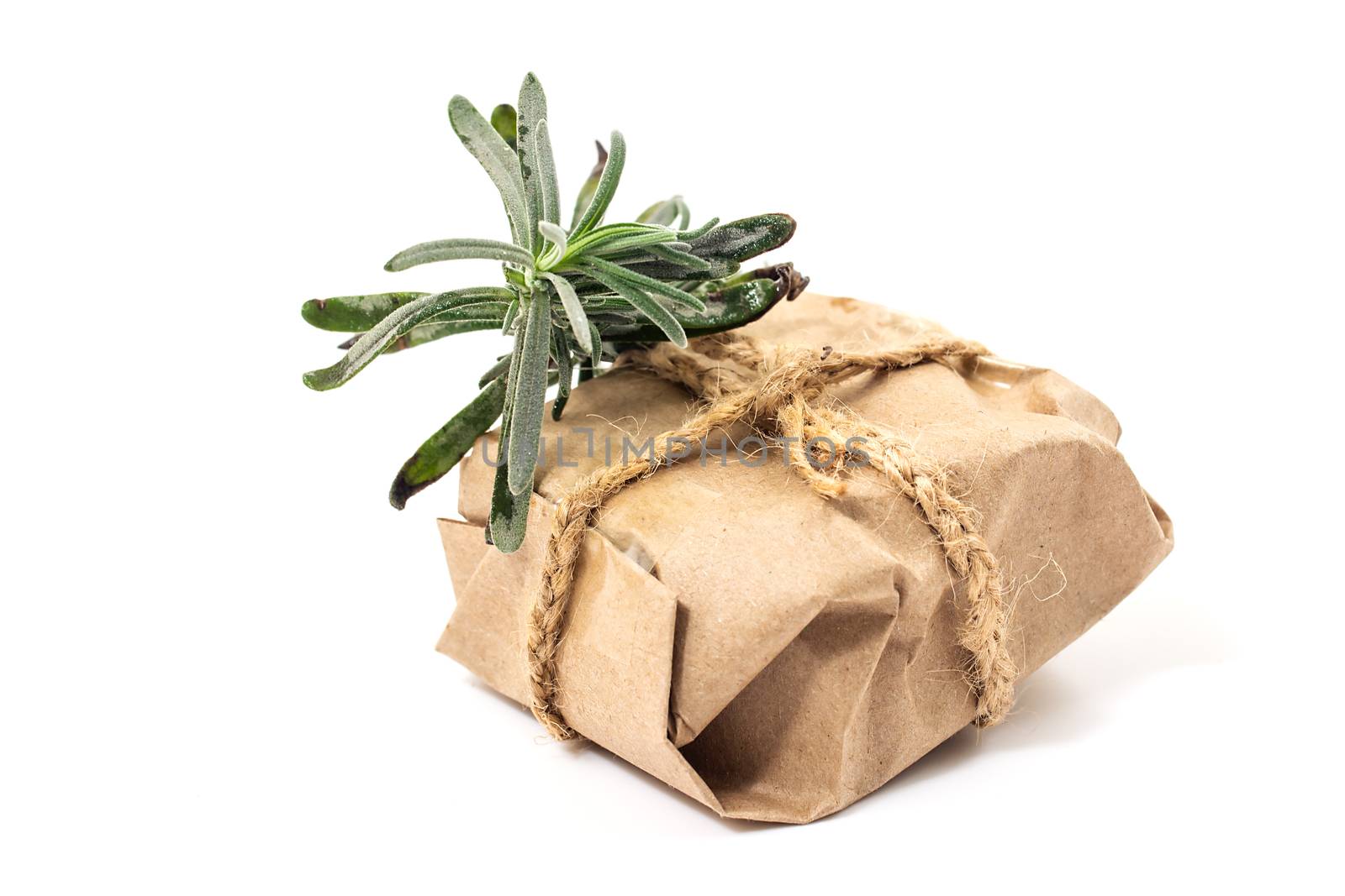 Rope recycled Rosemary package by milinz
