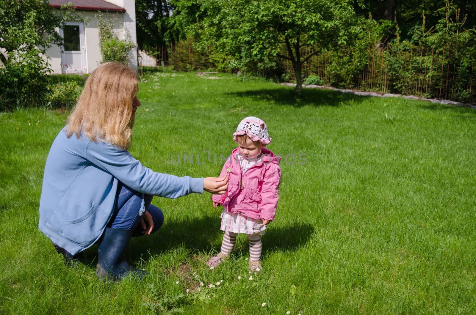 mother sits in meadow daughter gather daisies by sauletas