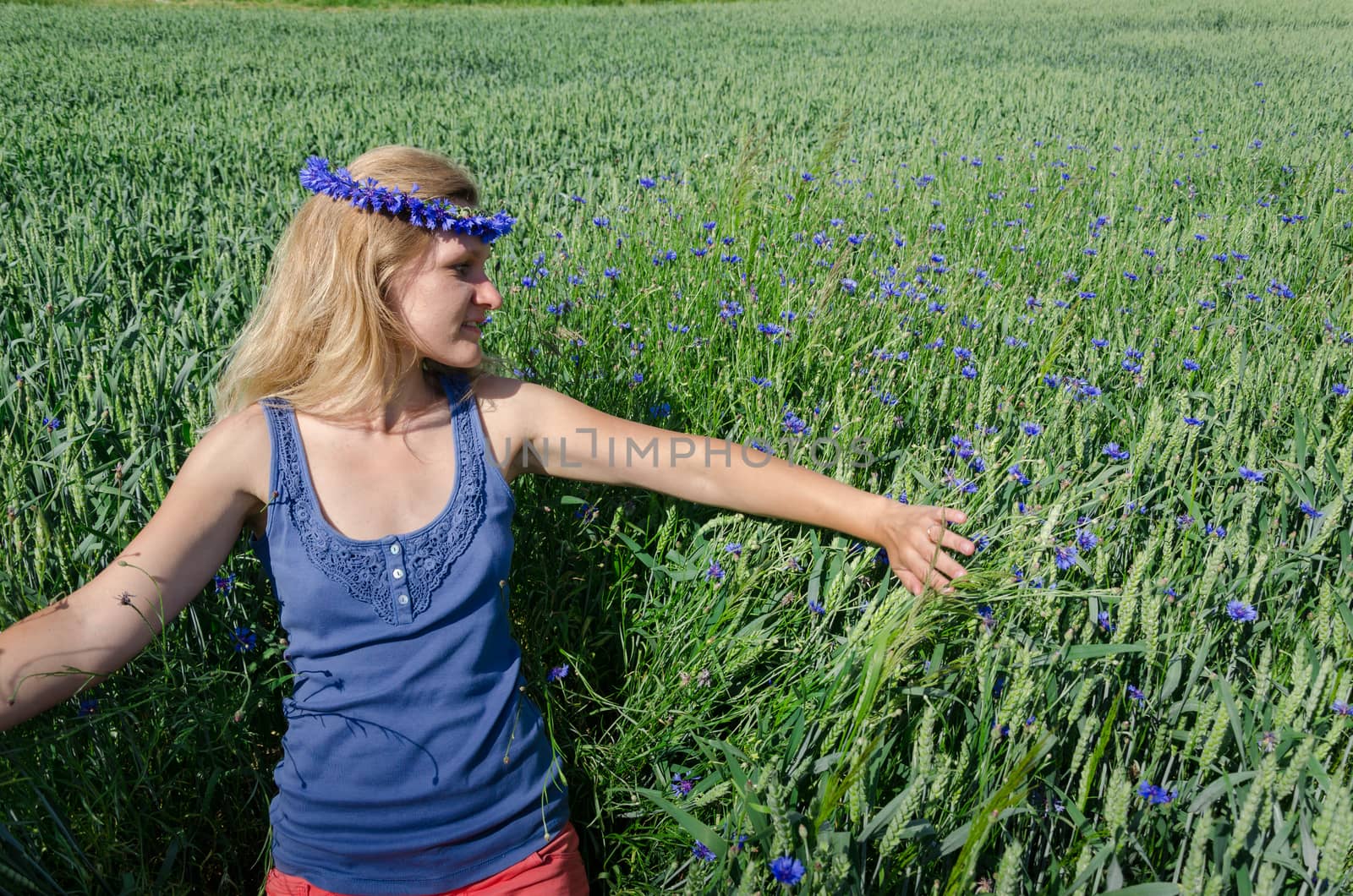 girl with cornflower crown on head resting in green high summer meadow