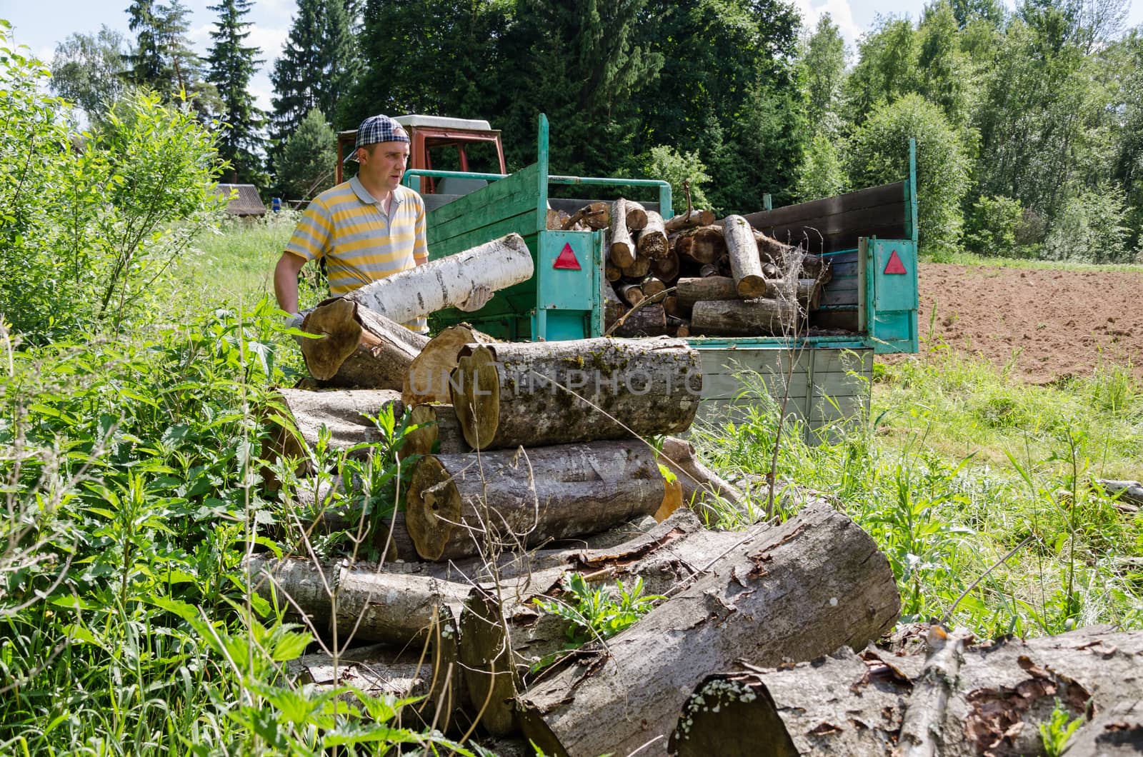 Lumberjack man load tree logs in tractor trailer by sauletas