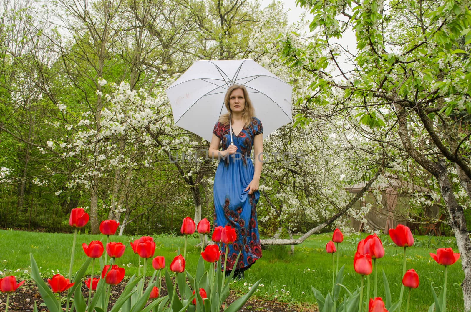 girl with dress posing park flower with umbrella by sauletas