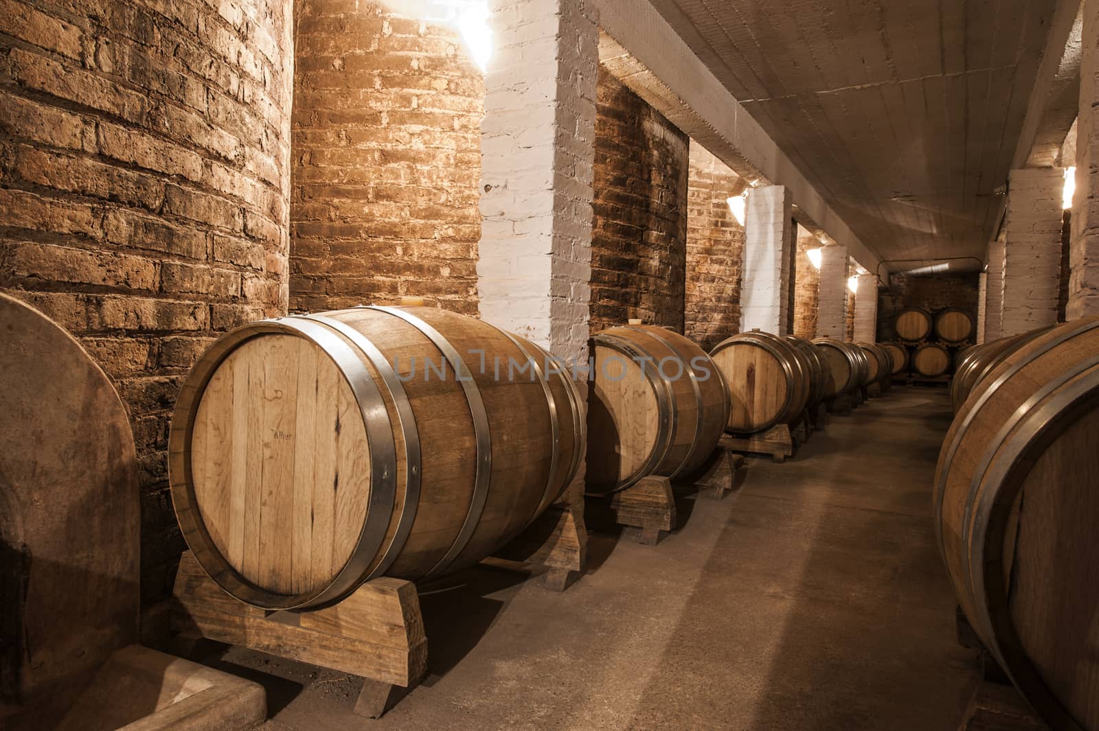 Wine barrels in Cellar of Malbec, Mendoza Province, Argentina by xura