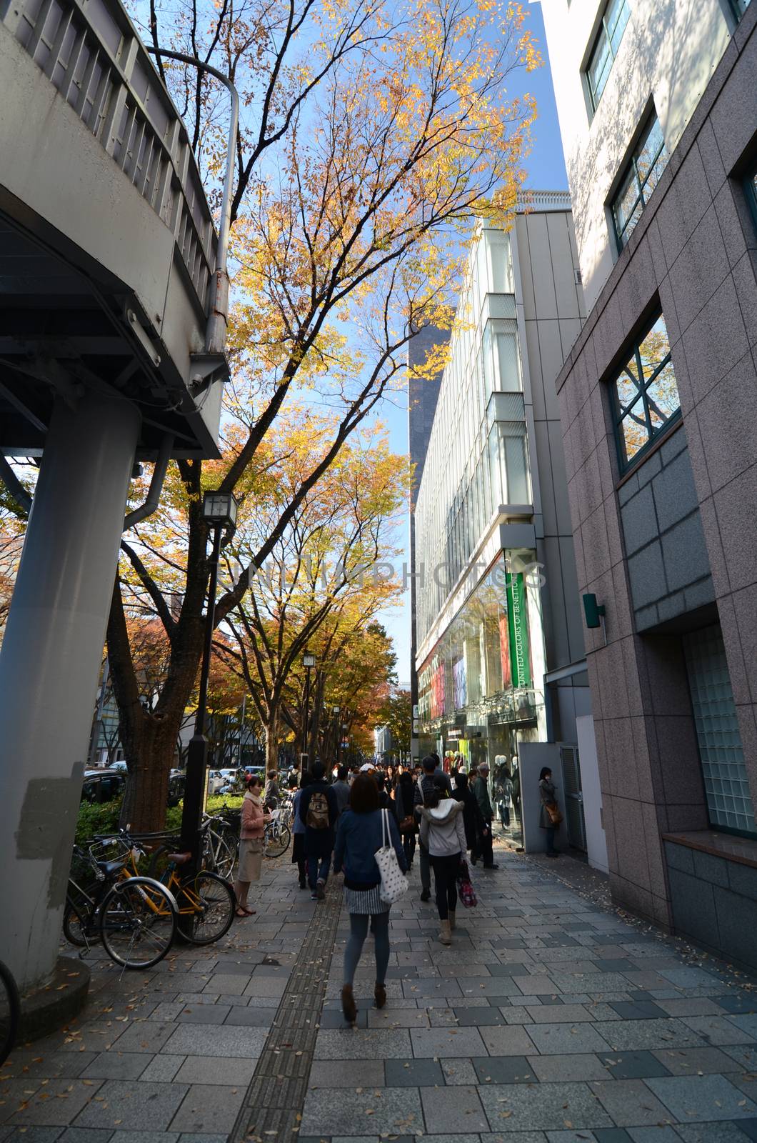 TOKYO - NOVEMBER 24: People on Omotesando Street on November 24. by siraanamwong