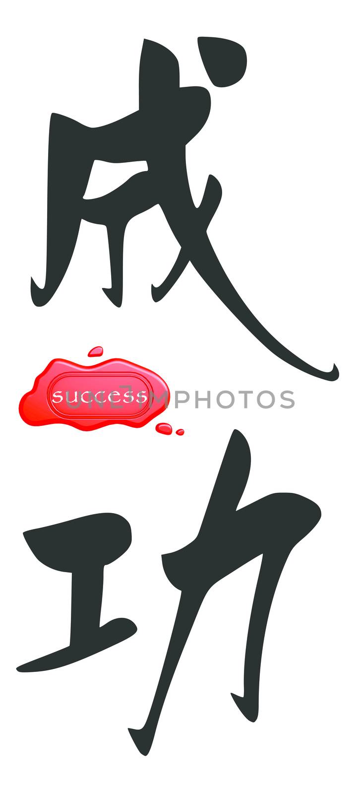 Success in Chinese by tang90246