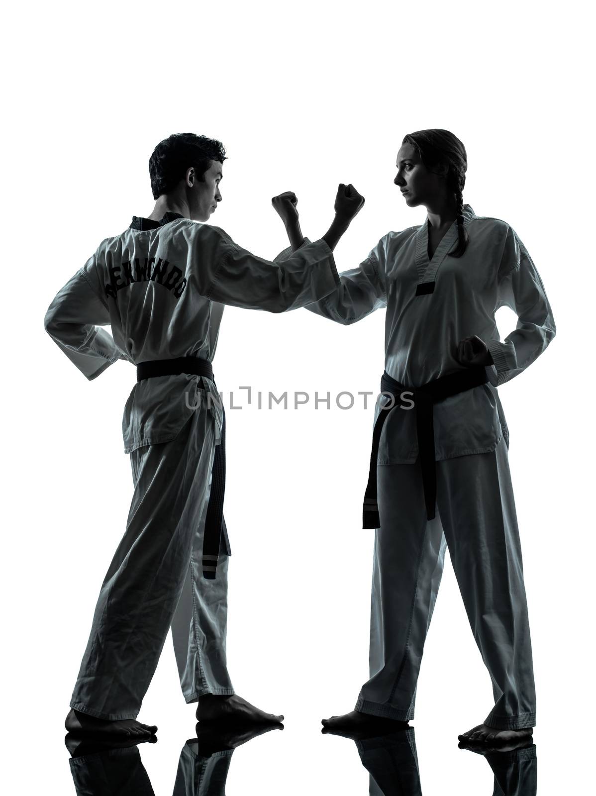 karate taekwondo martial arts man woman couple silhouette by PIXSTILL