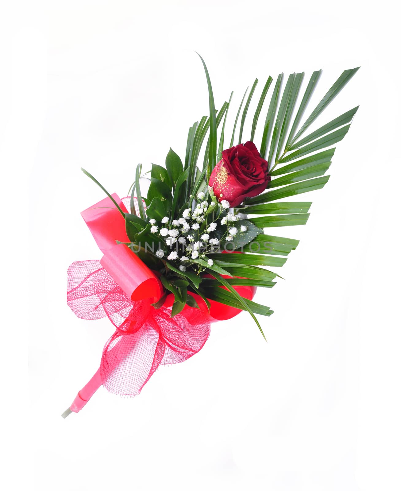 bouquet of red roses on a white background with