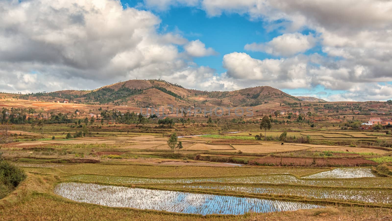 The beautiful landscapes of the central highland areas of Madagascar