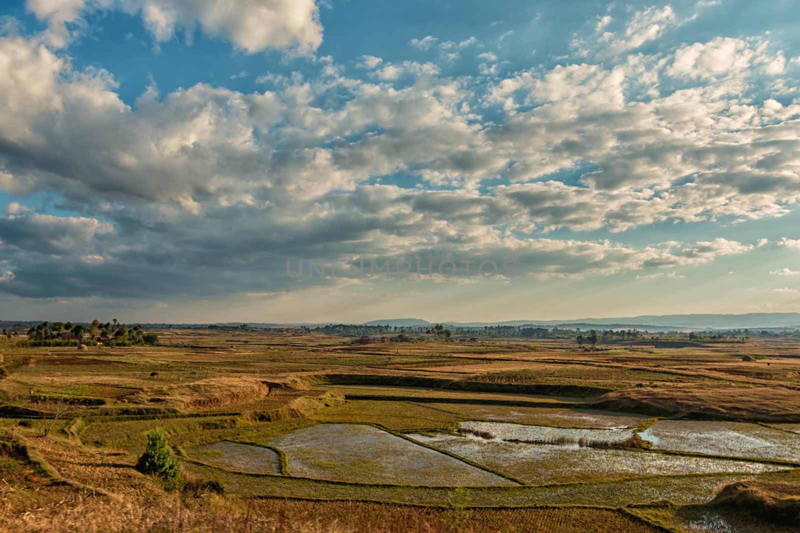 Rice fields embedded in the beautiful hilly landscape of the highlands of Madagascar.