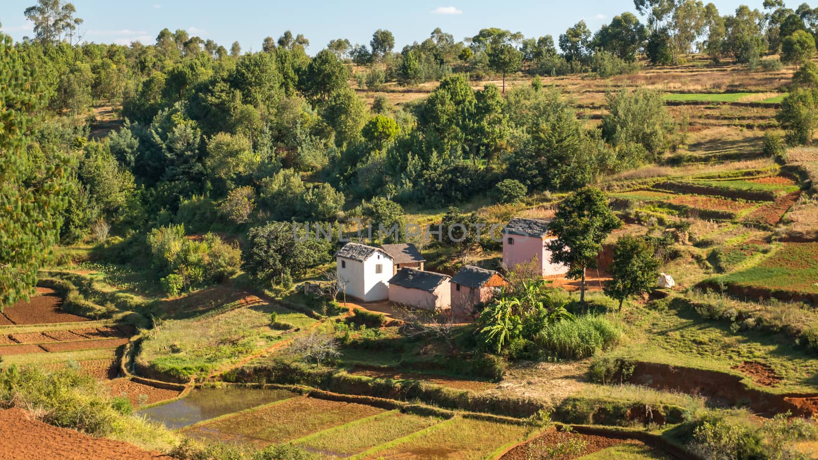 Houses made of bricks on a hilly landscape alongside a typical Malagasy rice farm