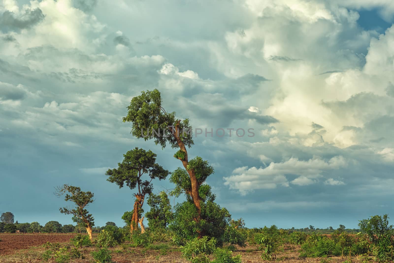 View of the beautiful landscape with stormy clouds in a rural village area in Malawi