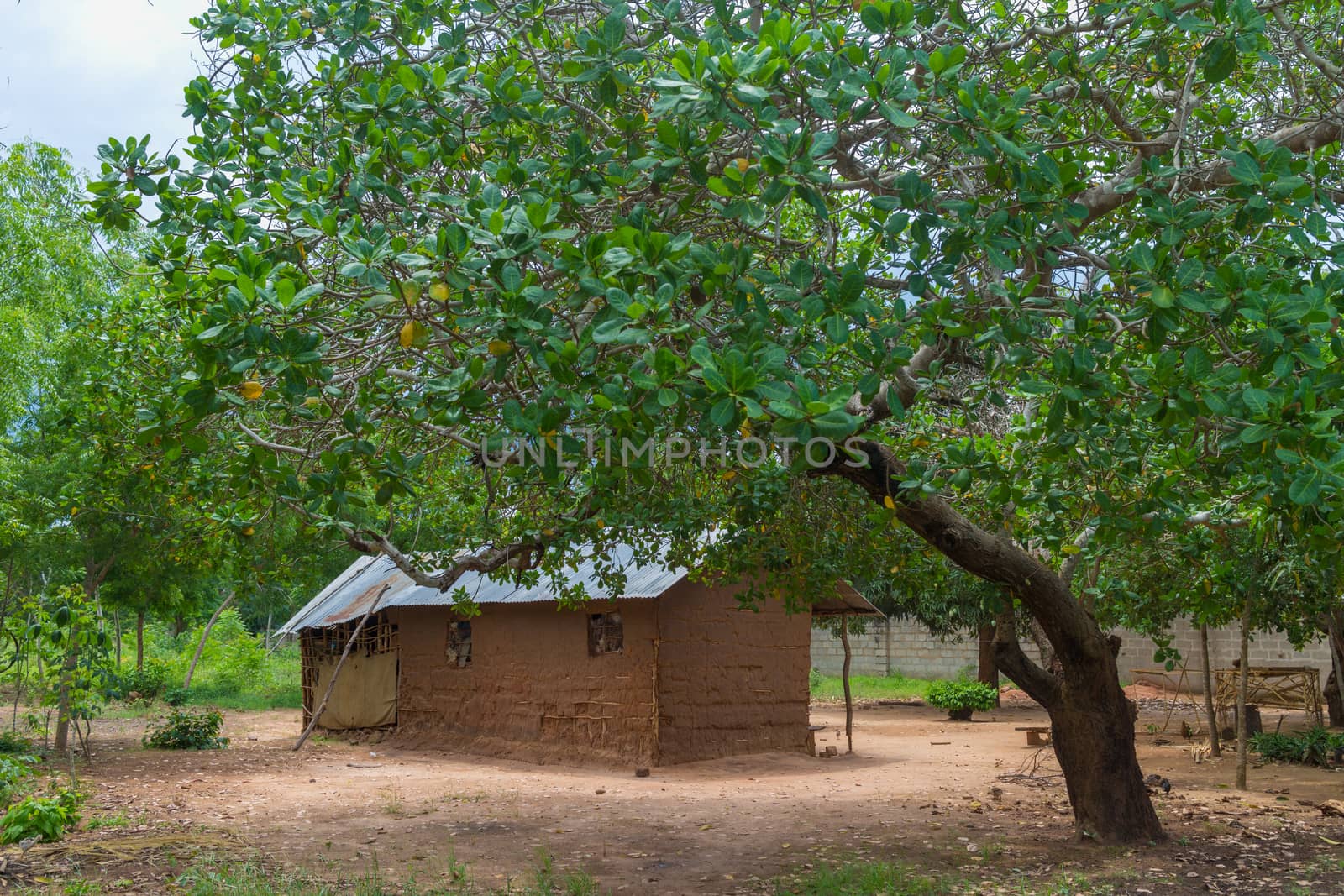 A small hut made of wood and clay in a remote village in Tanzania