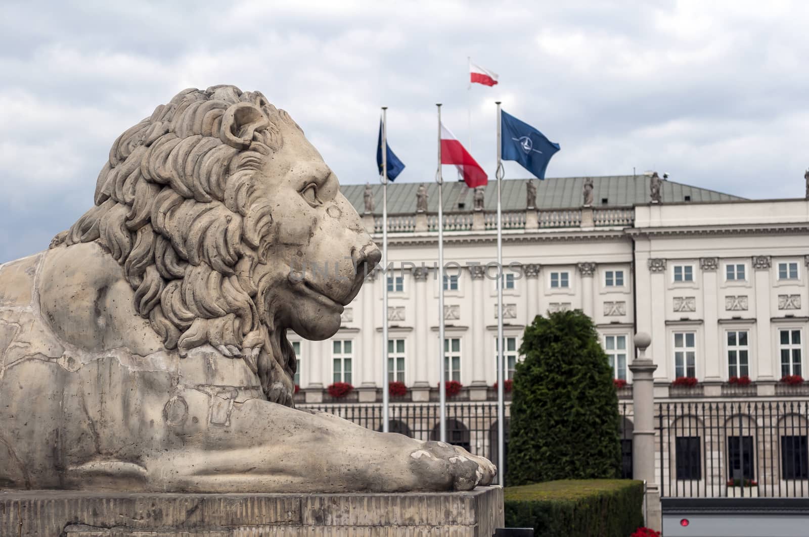 Lion statue at the Presidential Palace in the city of Warsaw, Poland.