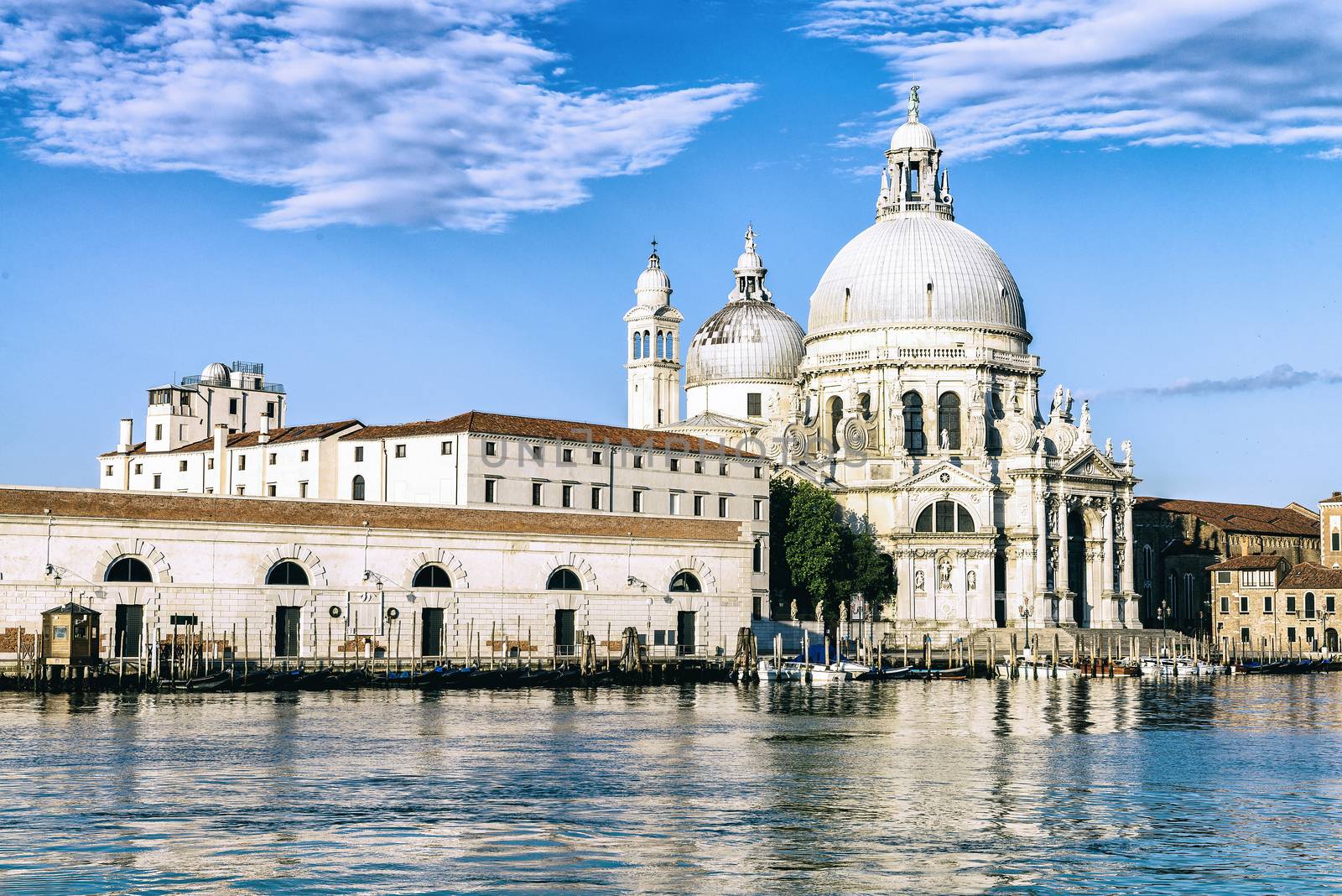 Gondola on Canal Grande with Basilica di Santa Maria della Salute in the background, Venice, Italy 