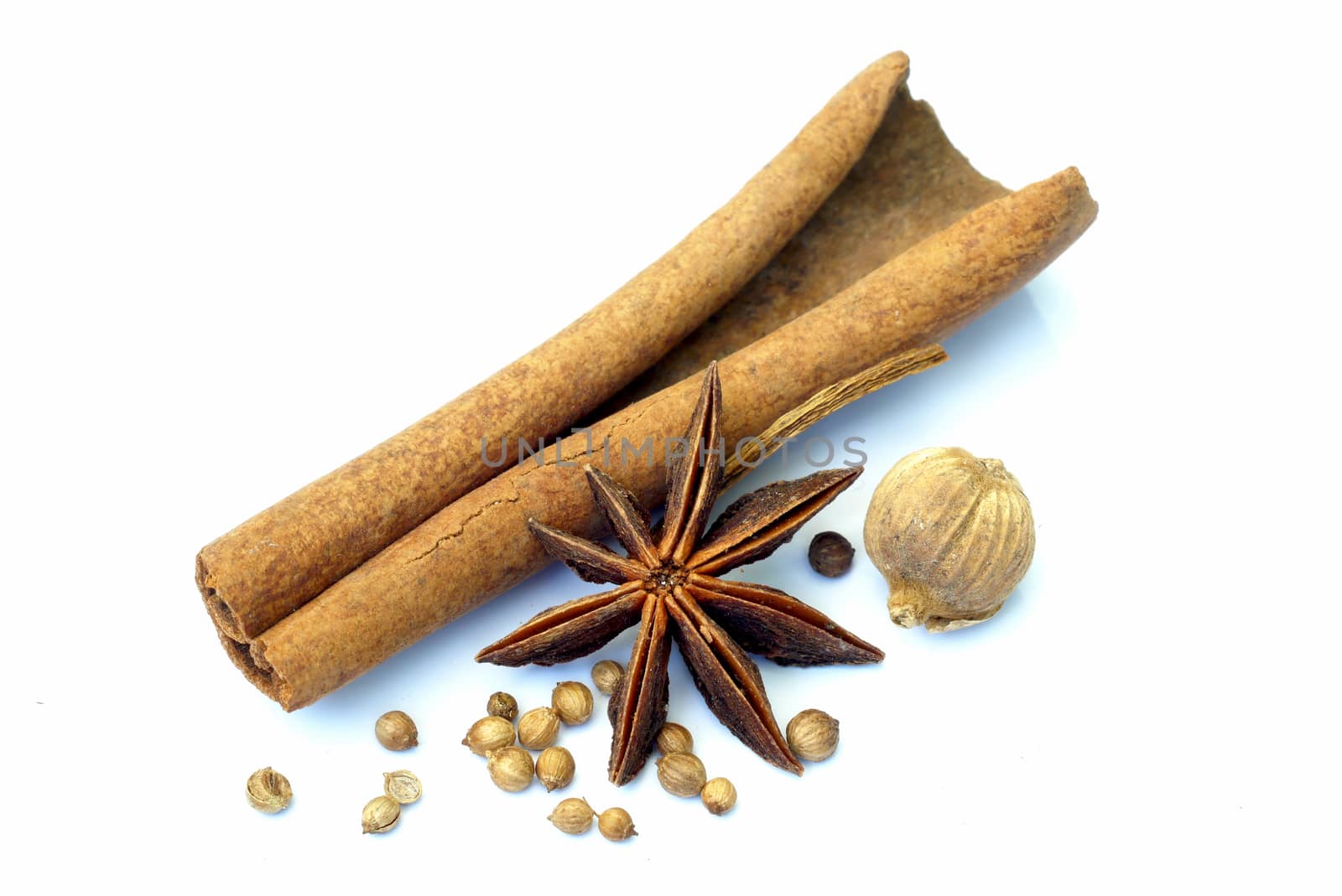 Various spices on a white background