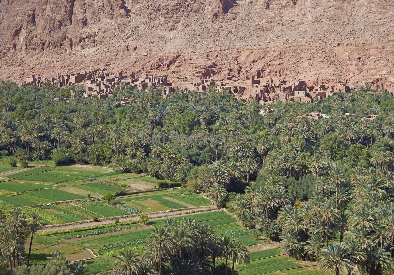 Traditional Berber village and cultivated fields along a river valley in the foothills of the Atlas Mountains in Morocco