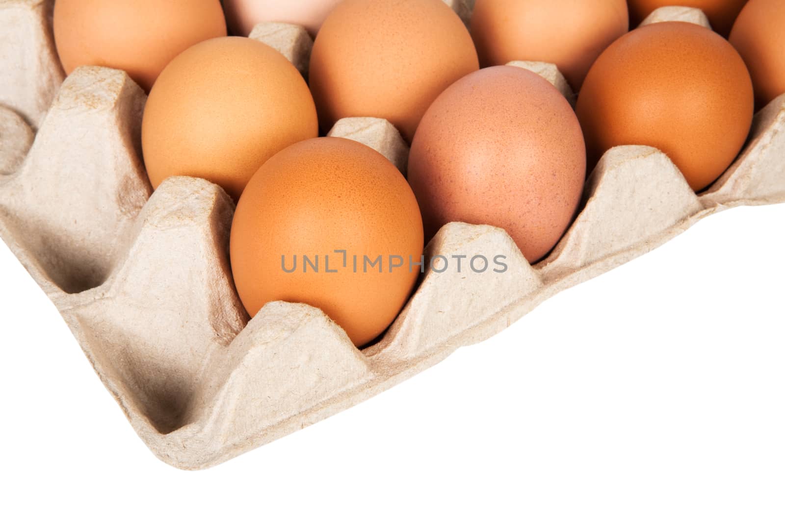 eggs in the package on a white background