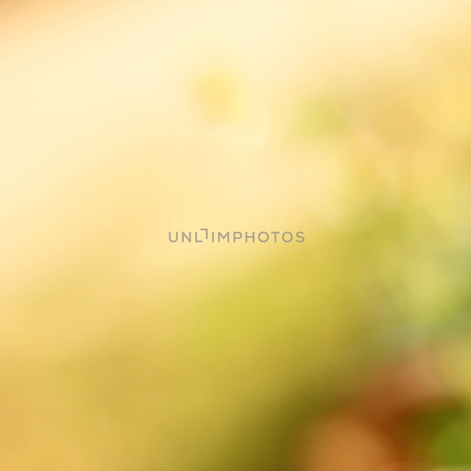 Abstract background with bokeh defocused lights  