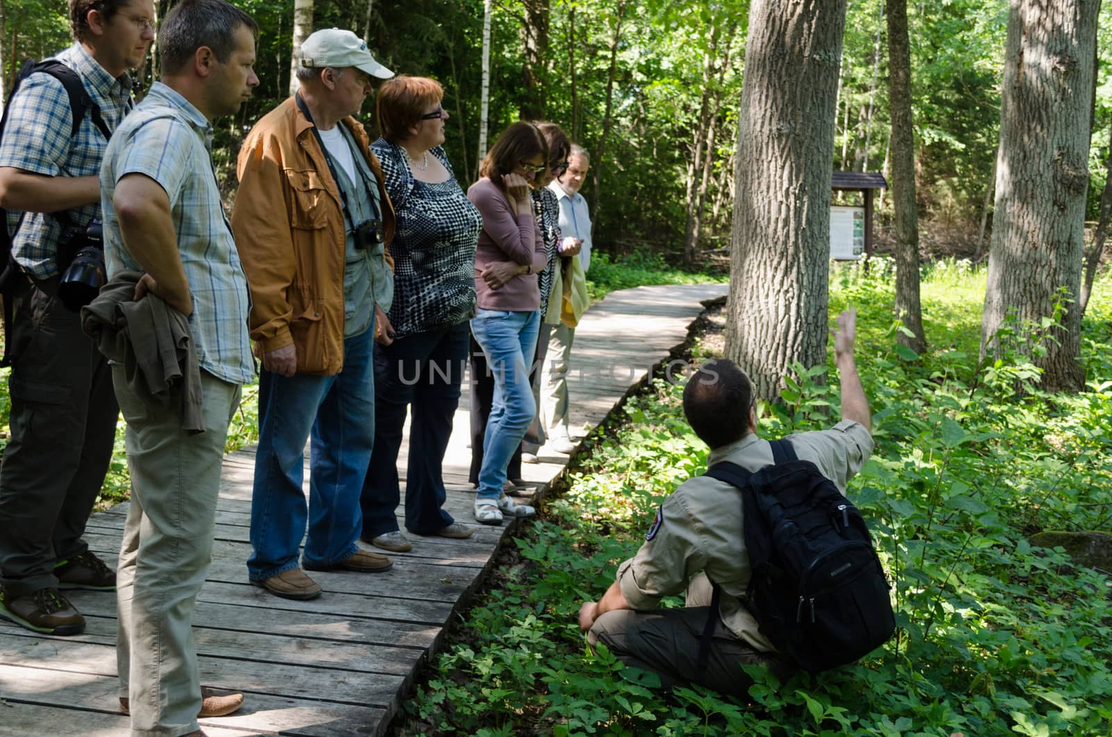 DUKSTOS, LITHUANIA - JUNE 18: group of elderly tourists in forest listen to park leader guide story about plants on June 18, 2013 in Dukstos, Lithuania.