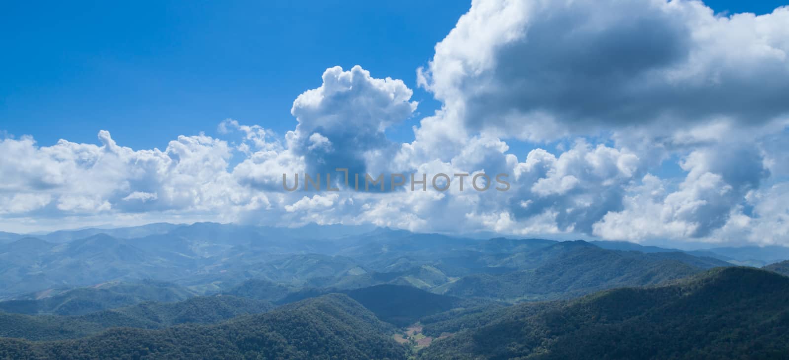 panorama mountain, forest and sky by a454