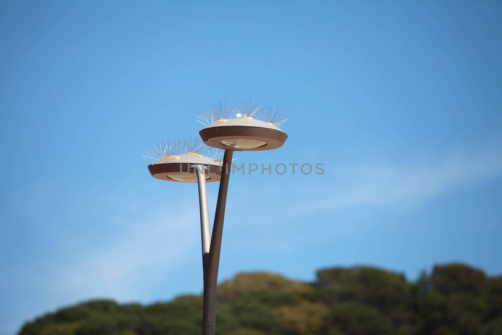 spiny Streetlight against a Clear Blue Sky